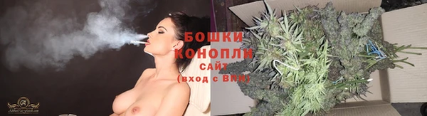 гашик Бабаево