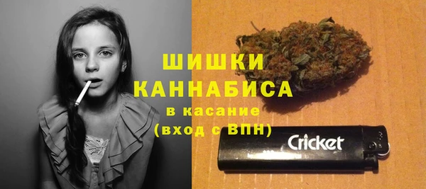 винт Горно-Алтайск